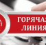 Горячая линия по реализации социальных выплат для лиц из числа детей-сирот и детей, оставшихся без попечения родителей. - Колпашевский район