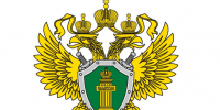 Колпашевская городская прокуратура разъясняет, участники Специальной военной операции и члены их семей имеют право на получение определенных льгот и мер социальной поддержки, в частности. - Колпашевский район